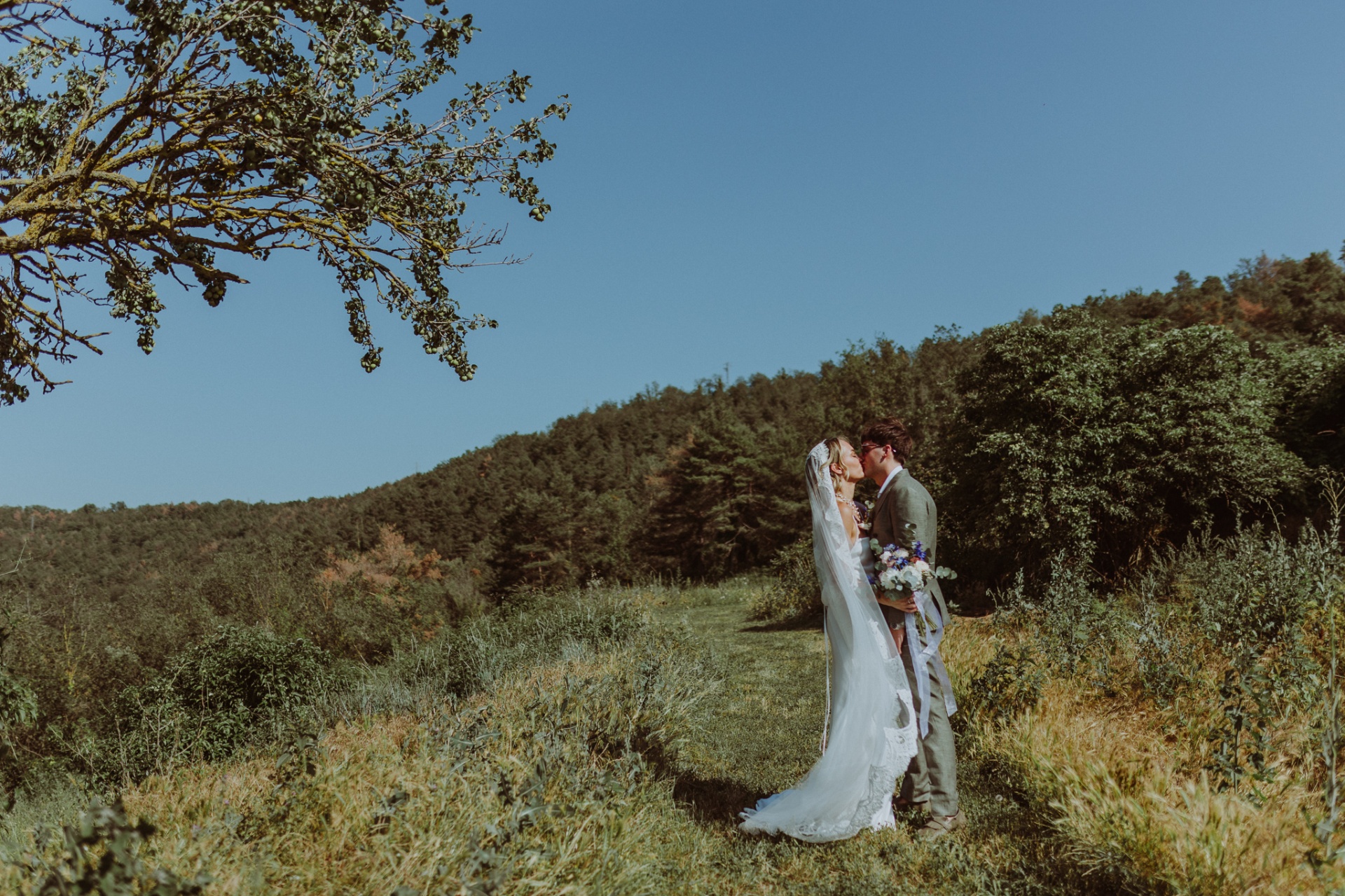 Ellie and Conor kissing in wildflower fields with Moianès forest backdrop