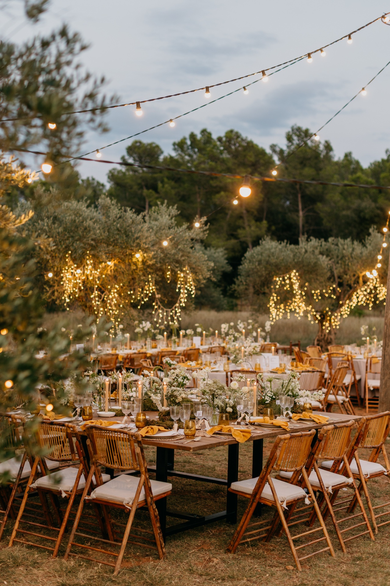 Outdoor dinner under string lights at Mas Terrats