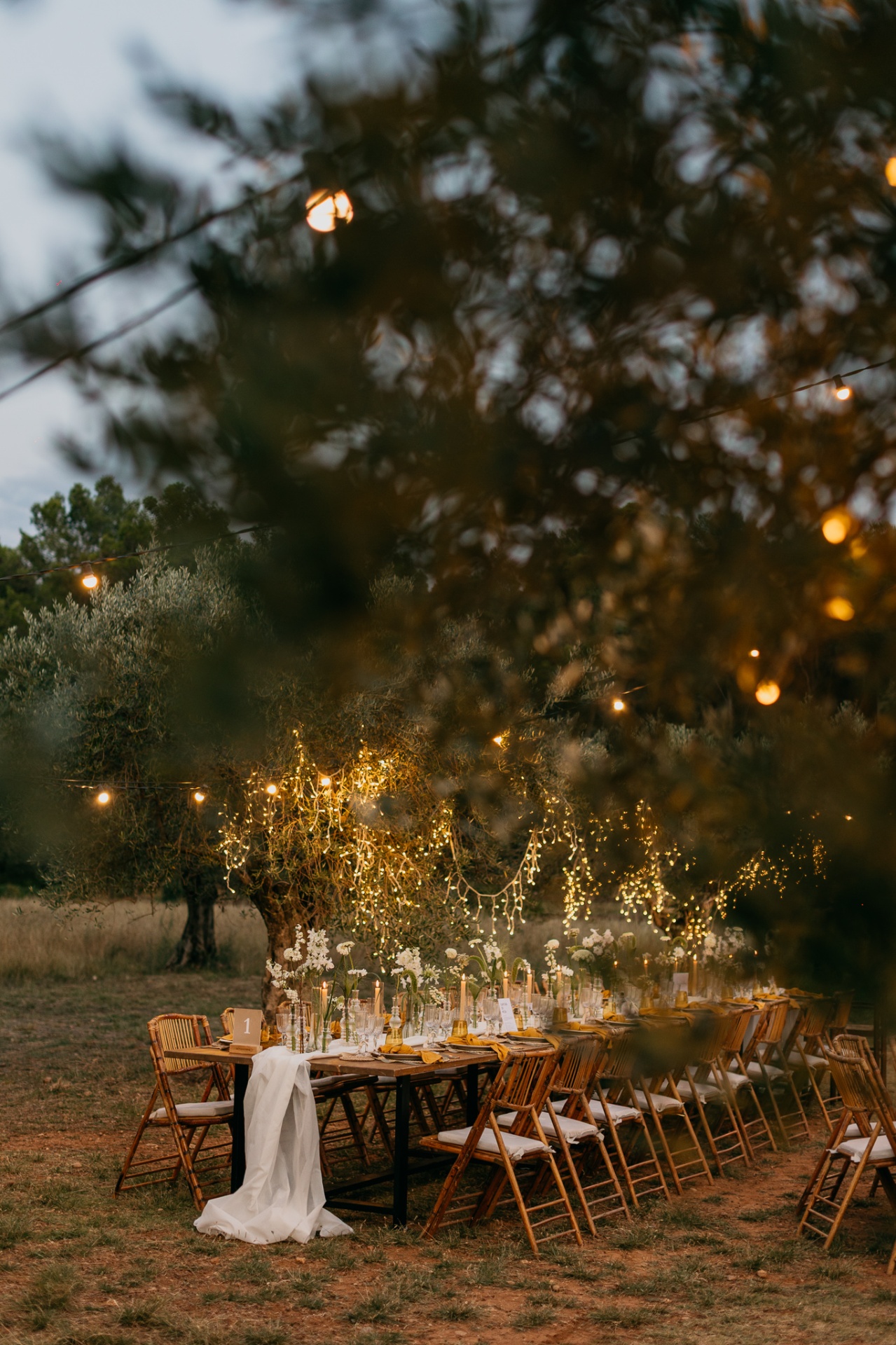 Intimate table setting under olive tree with fairy lights
