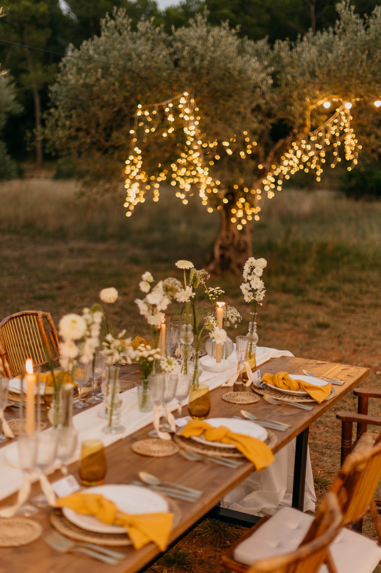 Fairy lights draped on olive trees for evening reception